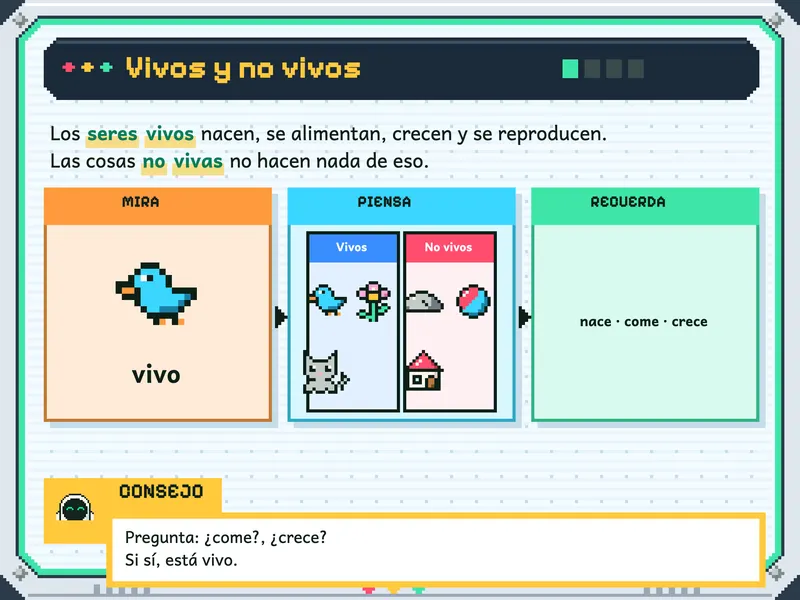 Ciencia y Tecnología 1.° de primaria: la explicación, paso a paso