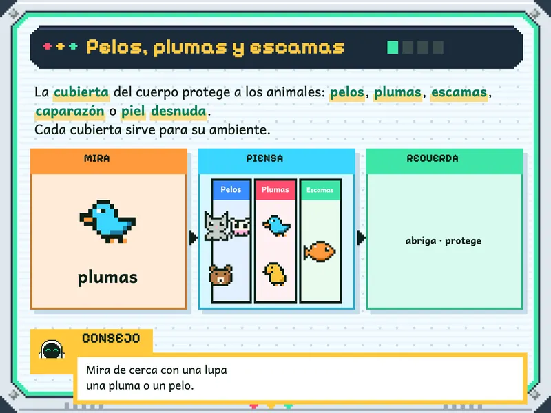Ciencia y Tecnología 2.° de primaria: la explicación, paso a paso