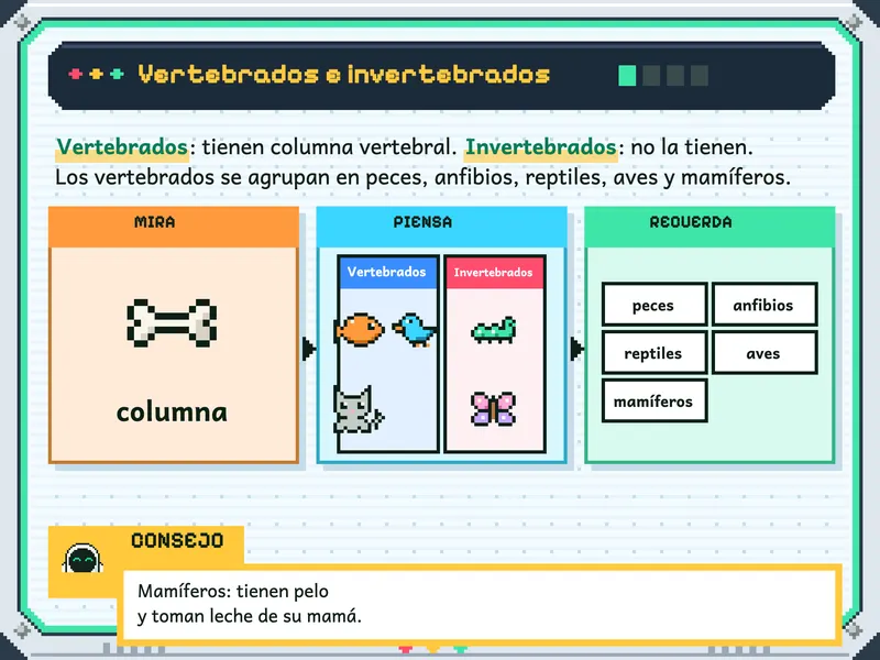 Ciencia y Tecnología 3.° de primaria: la explicación, paso a paso