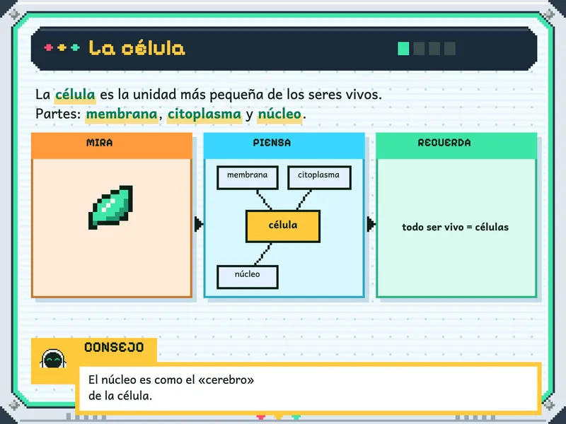 Ciencia y Tecnología 4.° de primaria: la explicación, paso a paso