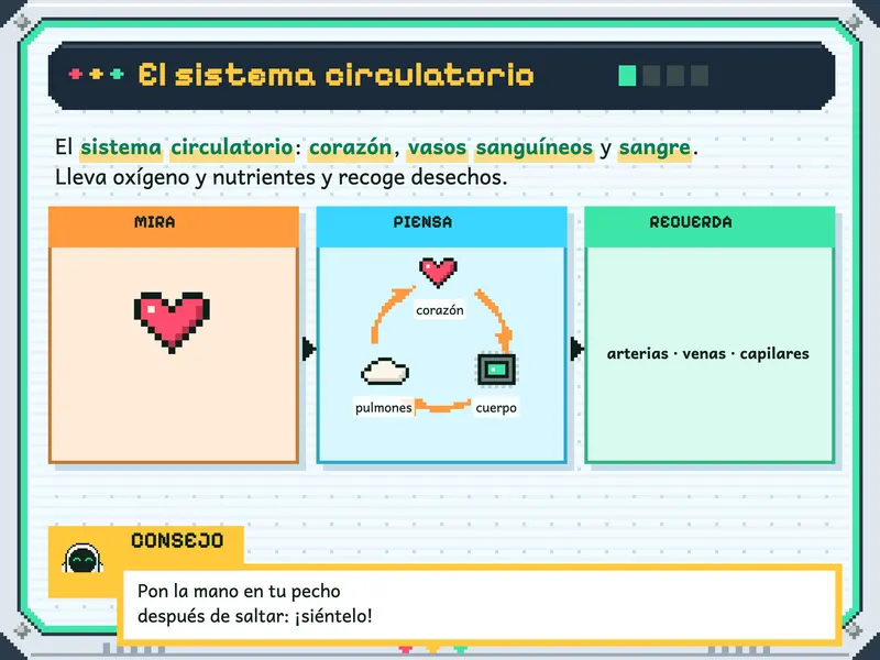 Ciencia y Tecnología 5.° de primaria: la explicación, paso a paso