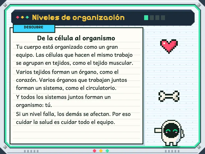 Ciencia y Tecnología 6.° de primaria: el cuento