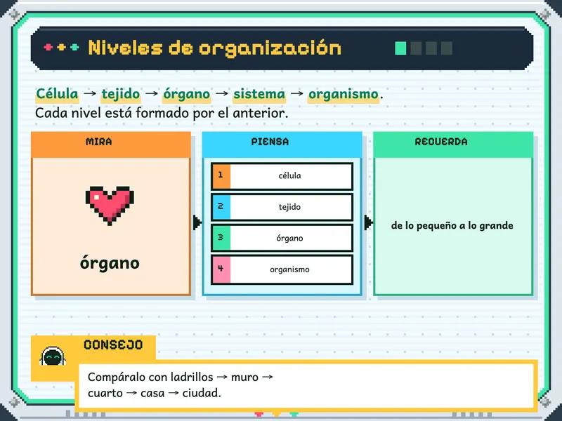 Ciencia y Tecnología 6.° de primaria: la explicación, paso a paso